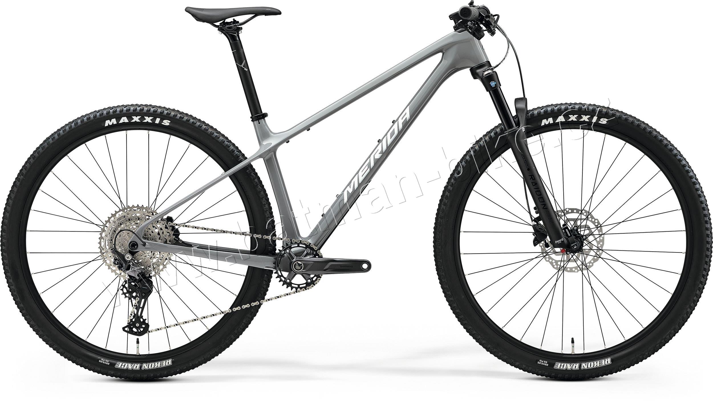 MERIDA BIG.NINE 3000 Cool Grey(Silver/Black)* L