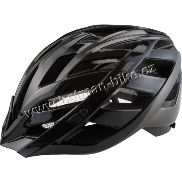 Přilba ALPINA PANOMA black-anthracite