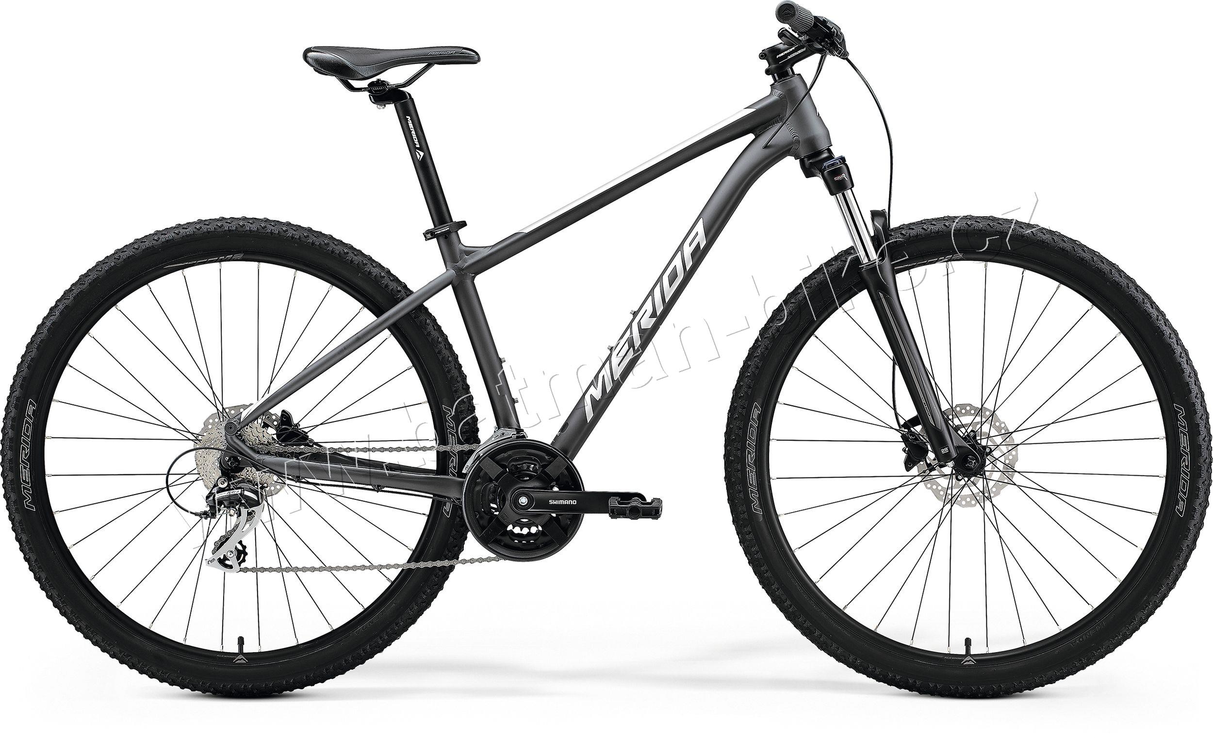 MERIDA BIG.NINE 20-2X Matt Dark Silver(Silver)
